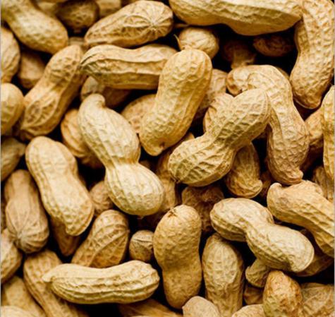 peanuts bulk buy