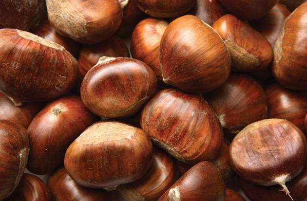 how many calories in 10 hazelnuts?