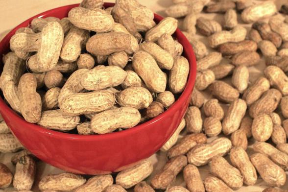 Is it good to eat peanuts everyday?