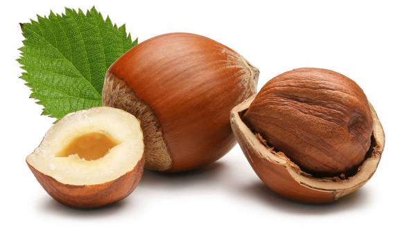 types of hazelnuts