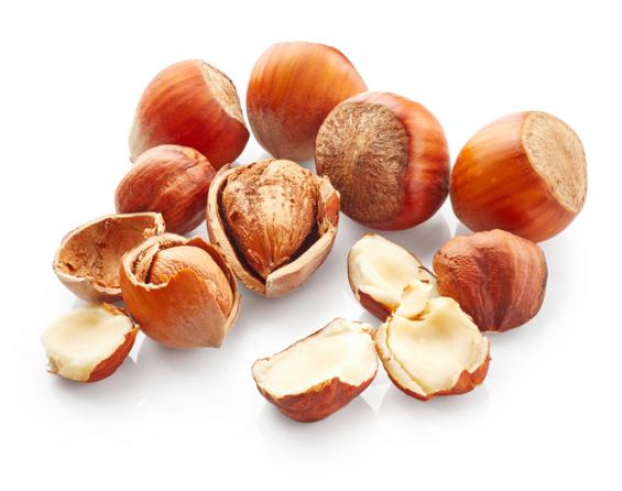 Domestic production of good hazelnut