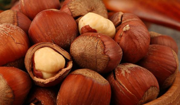 Premium Hazelnuts Wholesale Price