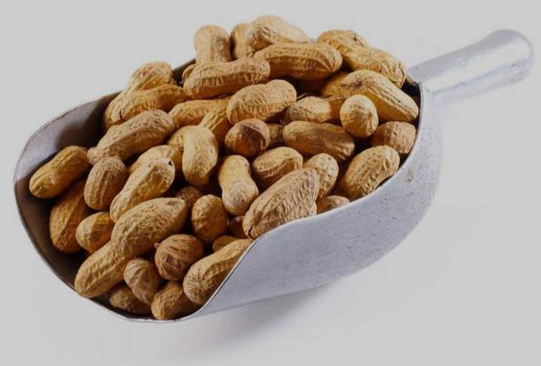 Are Peanuts Cause Gaining Weight?