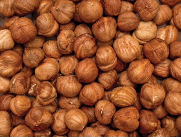Hazelnut Wholesale Price