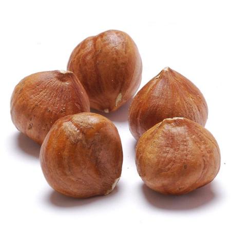 Exporters Of Raw Hazelnuts In Shell