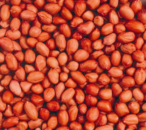 red skin peanut for sale