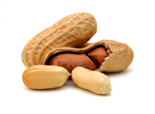 Can You Eat Peanuts Right Out Of The Ground?