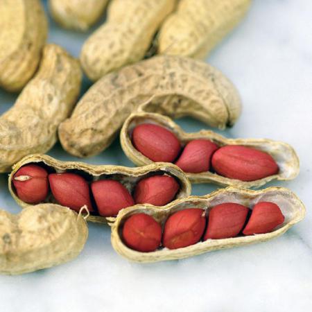 uses of peanuts