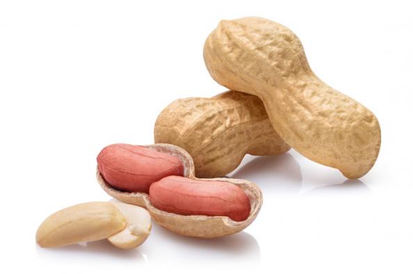 High Quality Peanut Markets