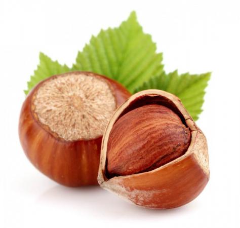 hazelnuts benefits for brain