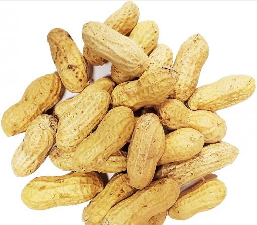 Why Raw Peanuts are Good for You?