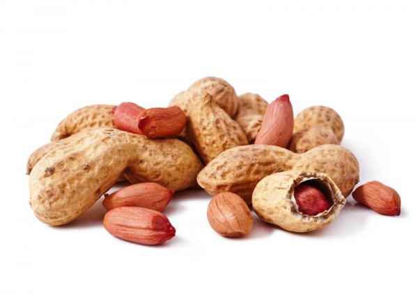 Shelled peanuts Market Growth Rate