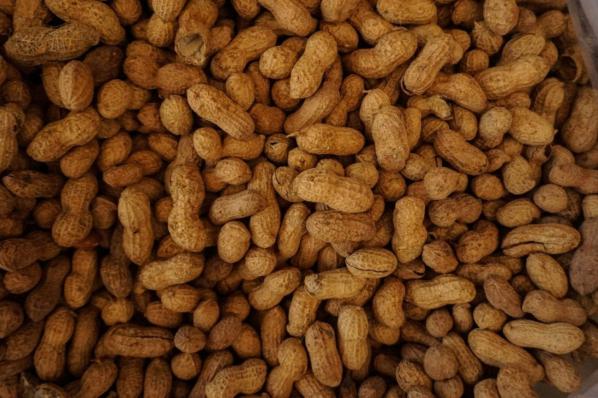 Shelled Peanuts Sales Price