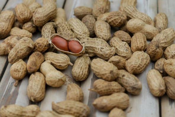 Market Value of High Quality Peanut