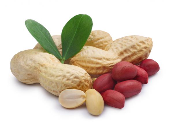 What are peanuts Effects on Female Body?