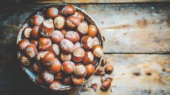 Raw shelled Hazelnuts Prices