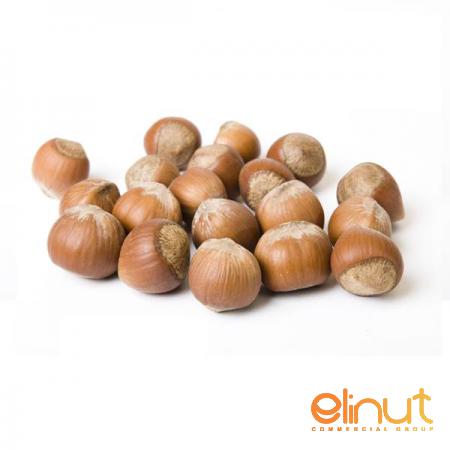 Best Supplier of Hazelnuts for Weigh Control