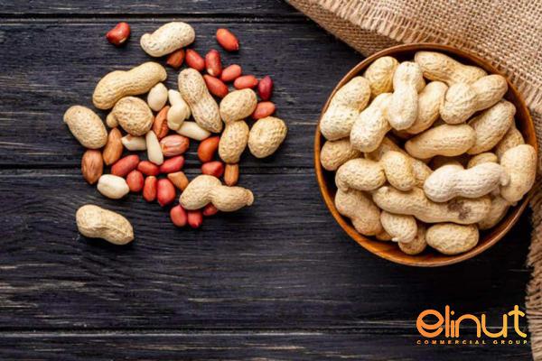 peanuts export