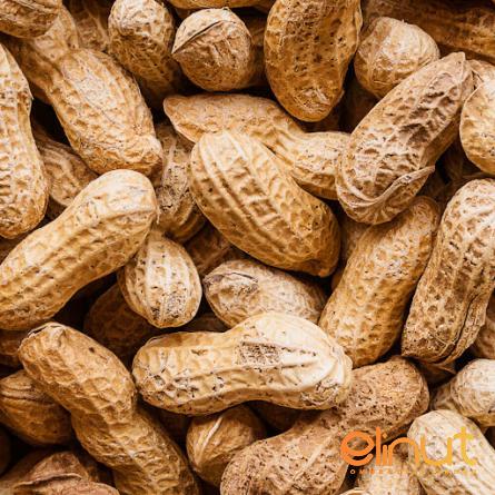 exportation of peanut in shell