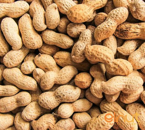 Best Raw Peanuts Market