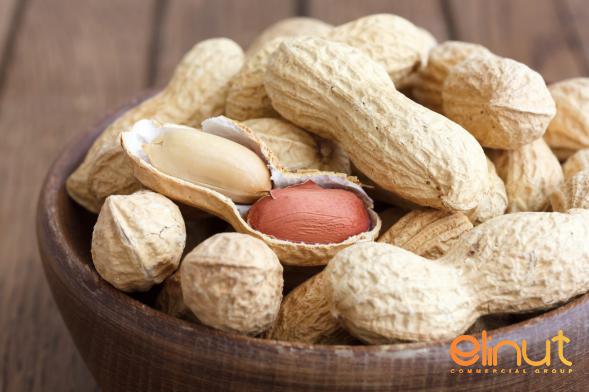 Sale of Organic Raw Peanuts in best Price