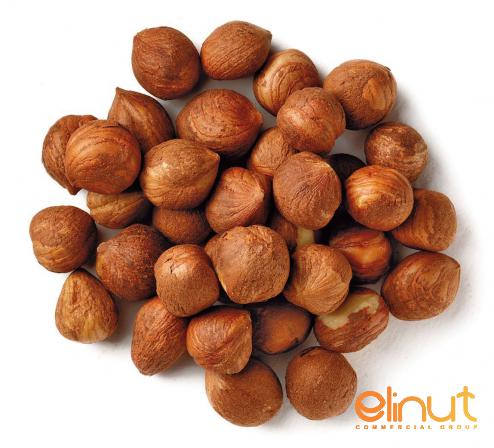 what benefits do hazelnuts have?