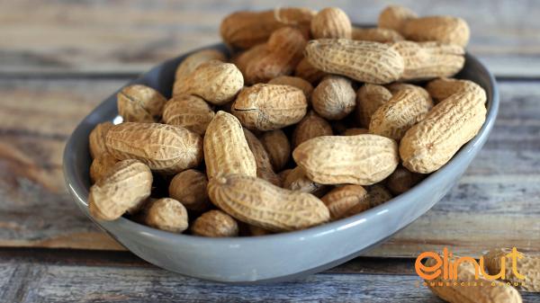 Biggest Organic Raw Peanuts Supplier