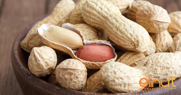 High quality Peanuts Suppliers