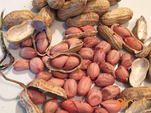 Wholesale Natural Peanuts Suppliers