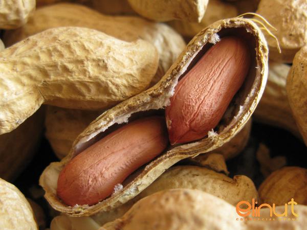 Organic Peanuts Nutrition Facts