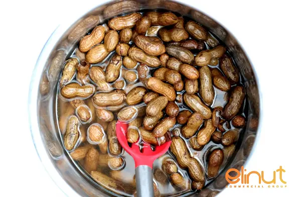 Homemade Boiled Peanuts Crock pot