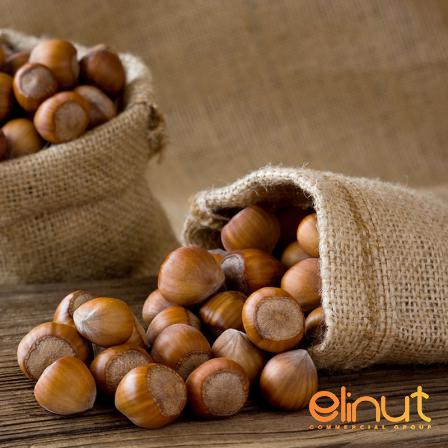 High Quality Organic Raw Hazelnuts at Global Markets