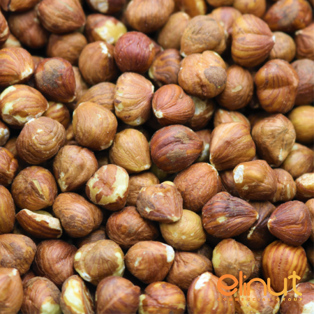 Organic Roasted Hazelnuts Exporter