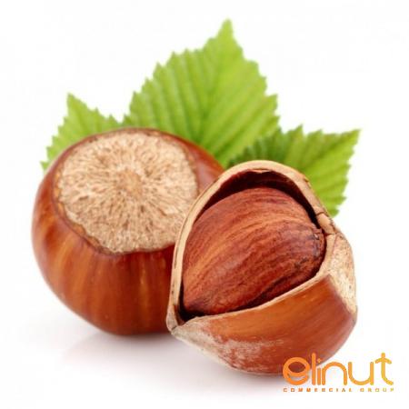 How to Store Fresh hazelnuts in Shell