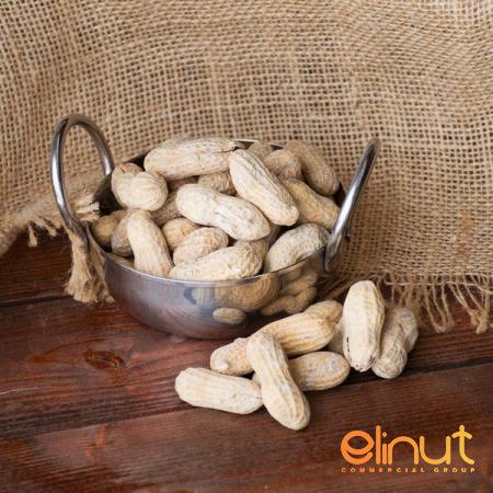 Salted in Shell Peanuts Bulk