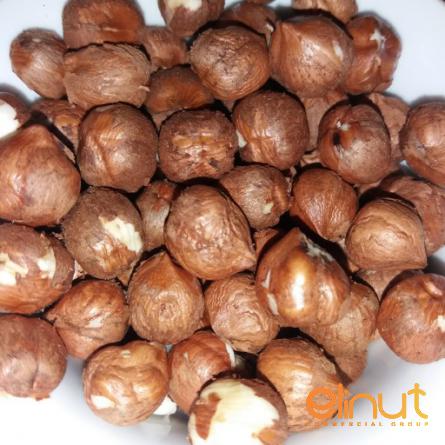 Roasted Unsalted Hazelnuts for Sale