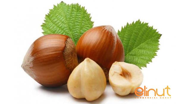 Guides to Find Raw Hazelnuts at a Low Bulk Price