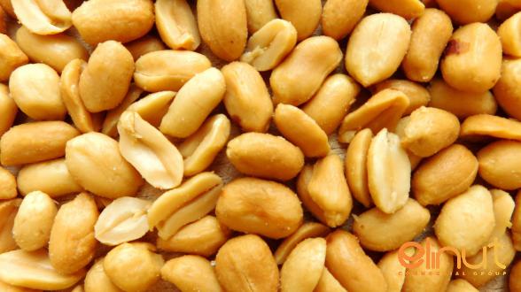 Nutritional Pan Fried Peanuts Top Distributor