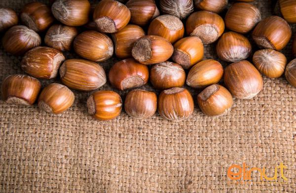 Exportation of Raw Hazelnuts with the Best Packaging for Demanders