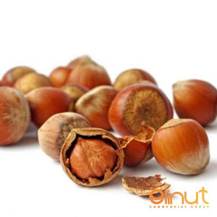Premium Soft Hazelnuts Top Wholesaler