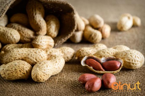 Where to Buy High Quality Raw Peanuts?