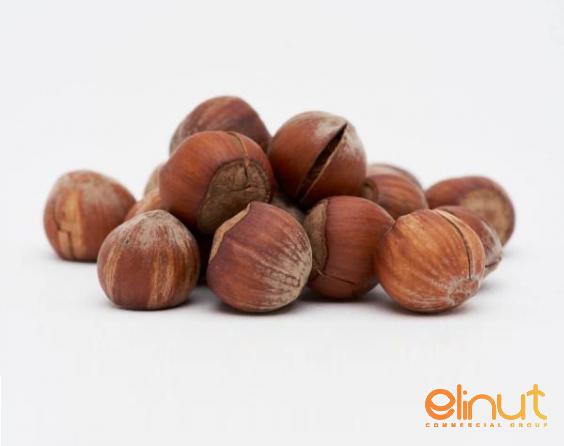 Guides to Choose Perfect Beaked Hazelnuts Available at Market