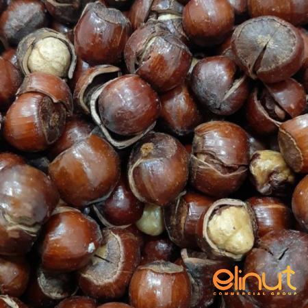 Organic Dry Roasted Hazelnuts in Bulk