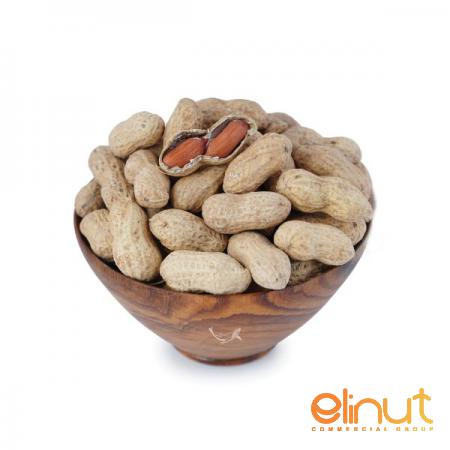 The Best Price of High Quality Raw Peanuts