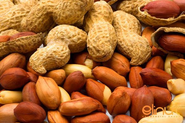 Premium Quality Peanuts in Shells for Export