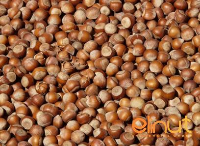 Buy roasted salted hazelnuts types + price