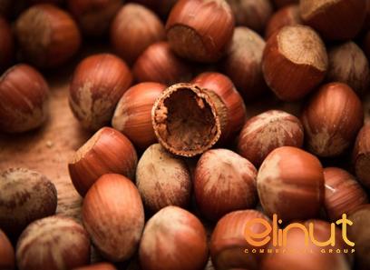 The price and purchase types of organic roasted hazelnuts