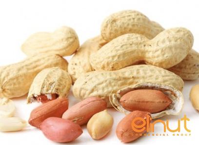 raw peanuts amazon purchase price + user guide
