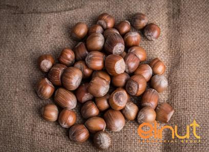 The price of hazelnuts roasted or raw from production to consumption