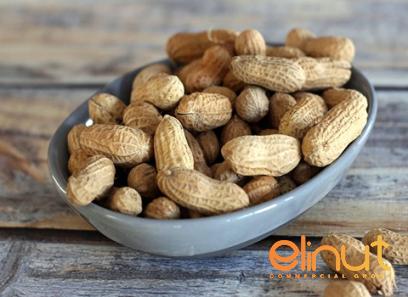whole raw cashews purchase price + quality test